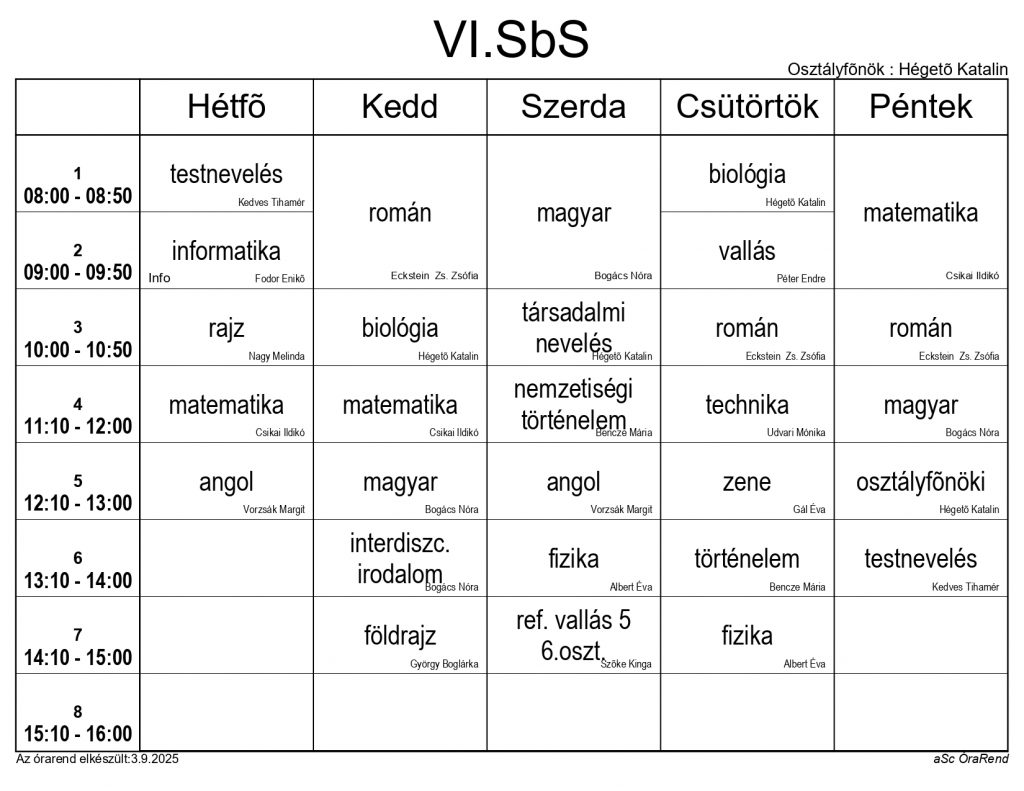 VISbS